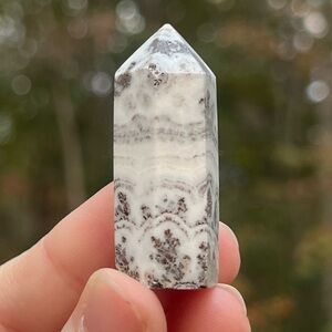 Dendritic Calcite Tower